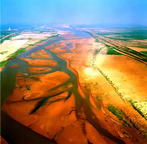 黄河三角洲自然保護区